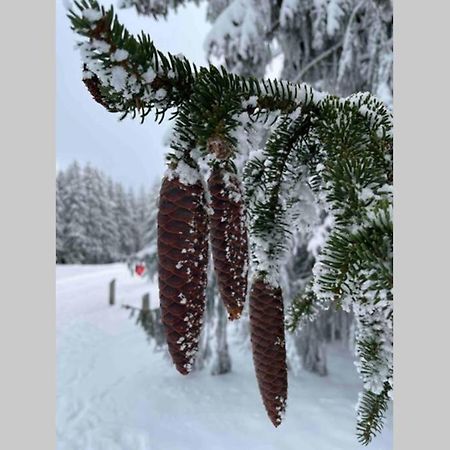 Zeit Fuer Dich Am Bergelchen, Winterberg公寓 外观 照片
